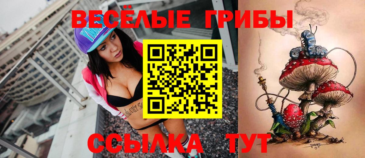 Галлюциногенные грибы Psilocybine cubensis  Галлюциногенные грибы ЛСД  Гулькевичи  Вход с VPN 