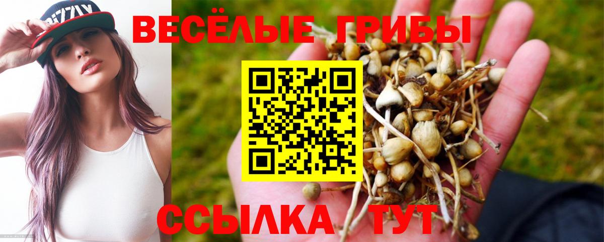 Галлюциногенные грибы Magic Shrooms Гулькевичи