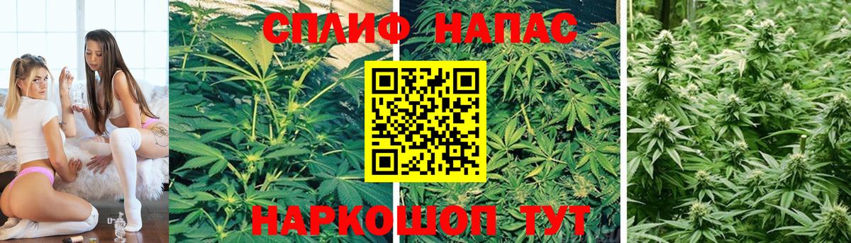 Канабис тримм Гулькевичи