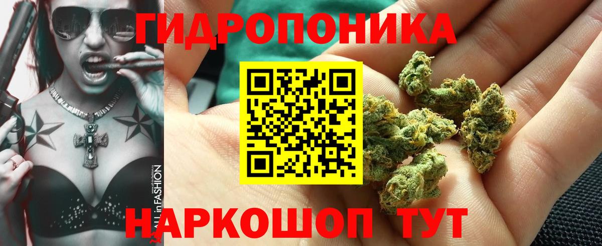 Марихуана сатива  МАРИХУАНА планчик  Гулькевичи  Вход с VPN 